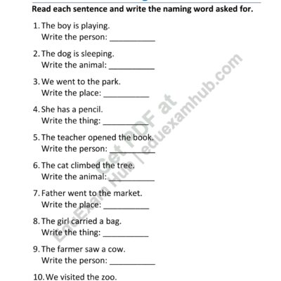class 2 naming words – identify person, animal, place or thing